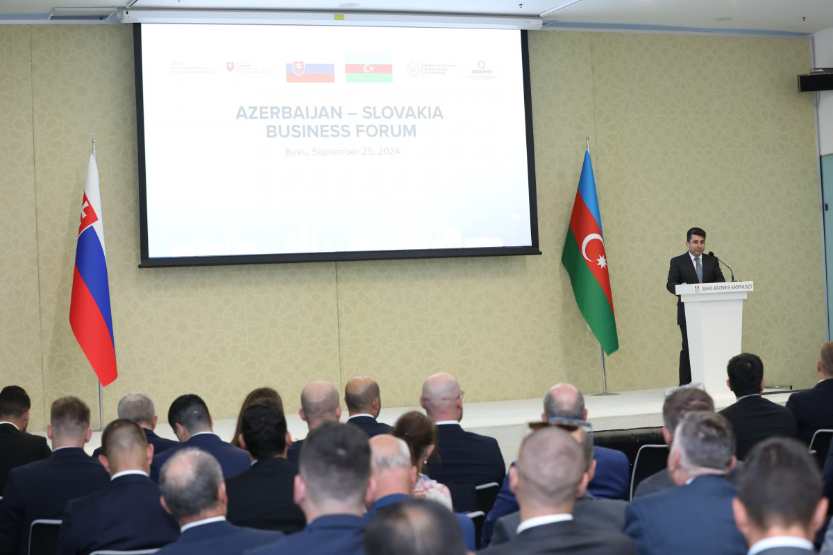 Azərbaycan Slovakiya ilə qaz təchizatı və nəqlinin praktiki aspektlərini müzakirə edir