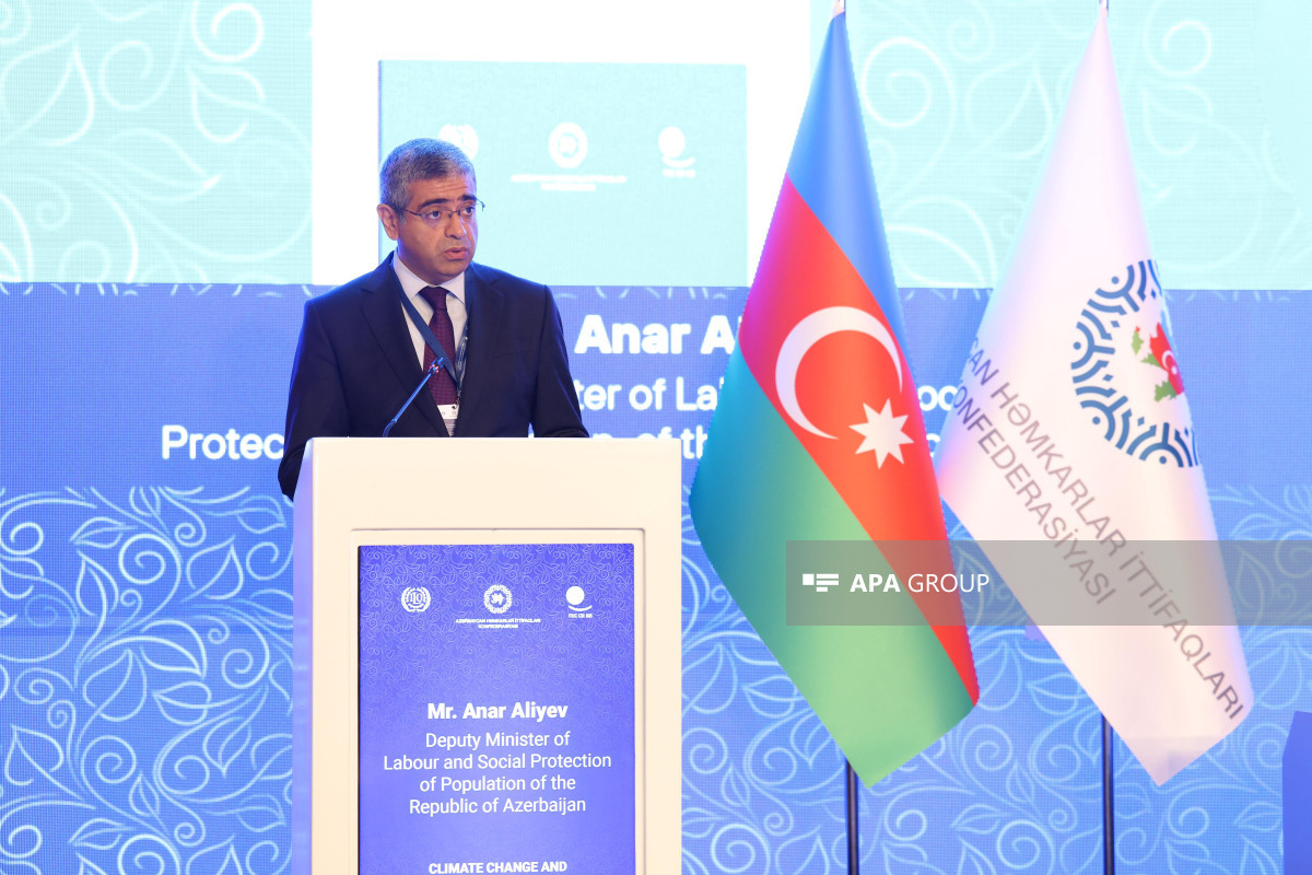 Nazir müavini: Son altı ildə əmək müqavilələrinin sayı 44% artıb