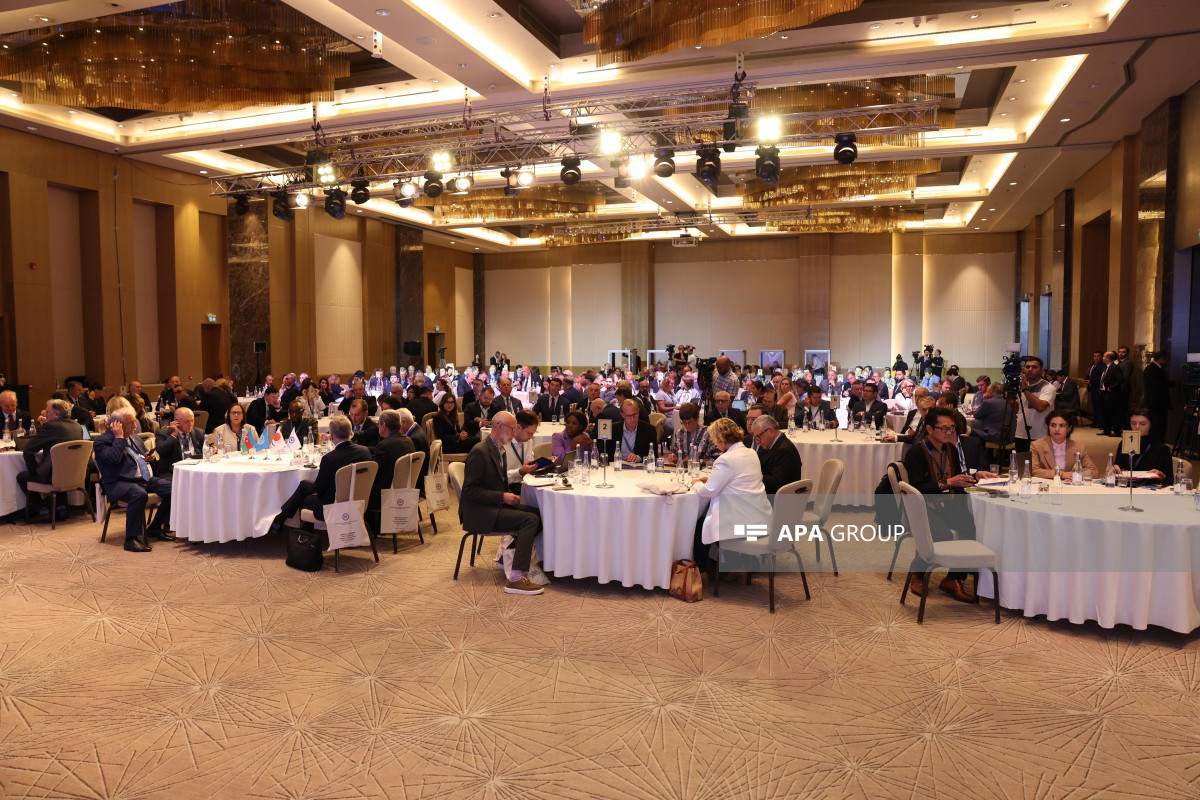 Bakıda iqlim dəyişmələri mövzusunda beynəlxalq konfrans keçirilir - FOTO 