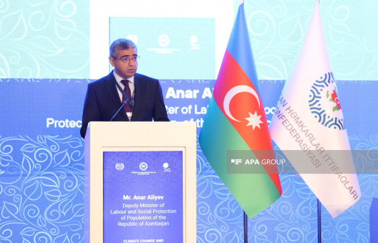Nazir müavini: Son altı ildə əmək müqavilələrinin sayı 44% artıb