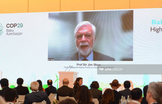 IPCC sədri Azərbaycanı COP29-a ev sahibliyi etməsi münasibətilə təbrik edib