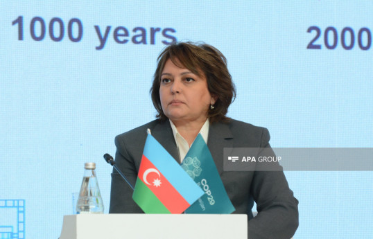 Umayra Tağıyeva: Bu il daşqınların sayı 102-ni keçib, "Qırmızı kitab"ın III nəşrinin həcmi artıb