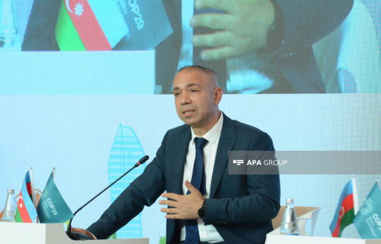 COP29 üzrə baş icraçı direktor: Baxmayaraq ki, bizim kömür ehtiyatlarımız olub, amma Azərbaycan heç vaxt ondan istifadə etməyib