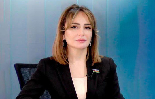 Deputat: Elektron hökumət sistemi şəffaflığın təmin olunmasına zəmin yaradır