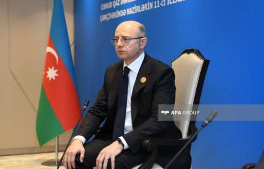 Pərviz Şahbazov: Yaşıl enerji dəhlizi layihələri üçün kifayət qədər resursumuz var