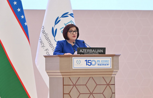 Sahibə Qafarova, Milli Məclisin sədri