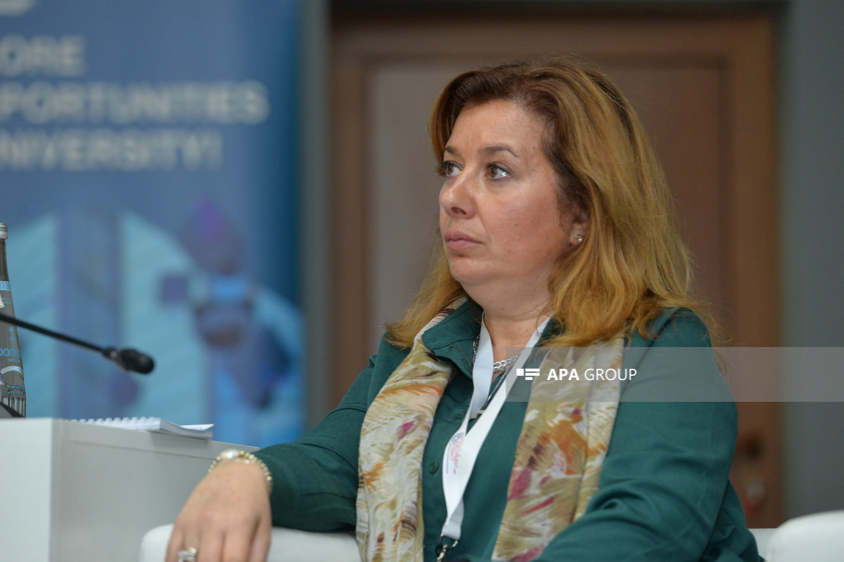 Yunan professor: "Yaşıl enerji" tədarükündə Azərbaycan mühüm rol oynaya bilər