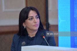 Soyqırımı və Qərbi Azərbaycan həqiqətləri mövzusunda panel iclas keçirilib - FOTO 