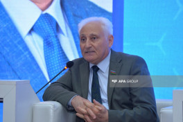Soyqırımı və Qərbi Azərbaycan həqiqətləri mövzusunda panel iclas keçirilib - FOTO 