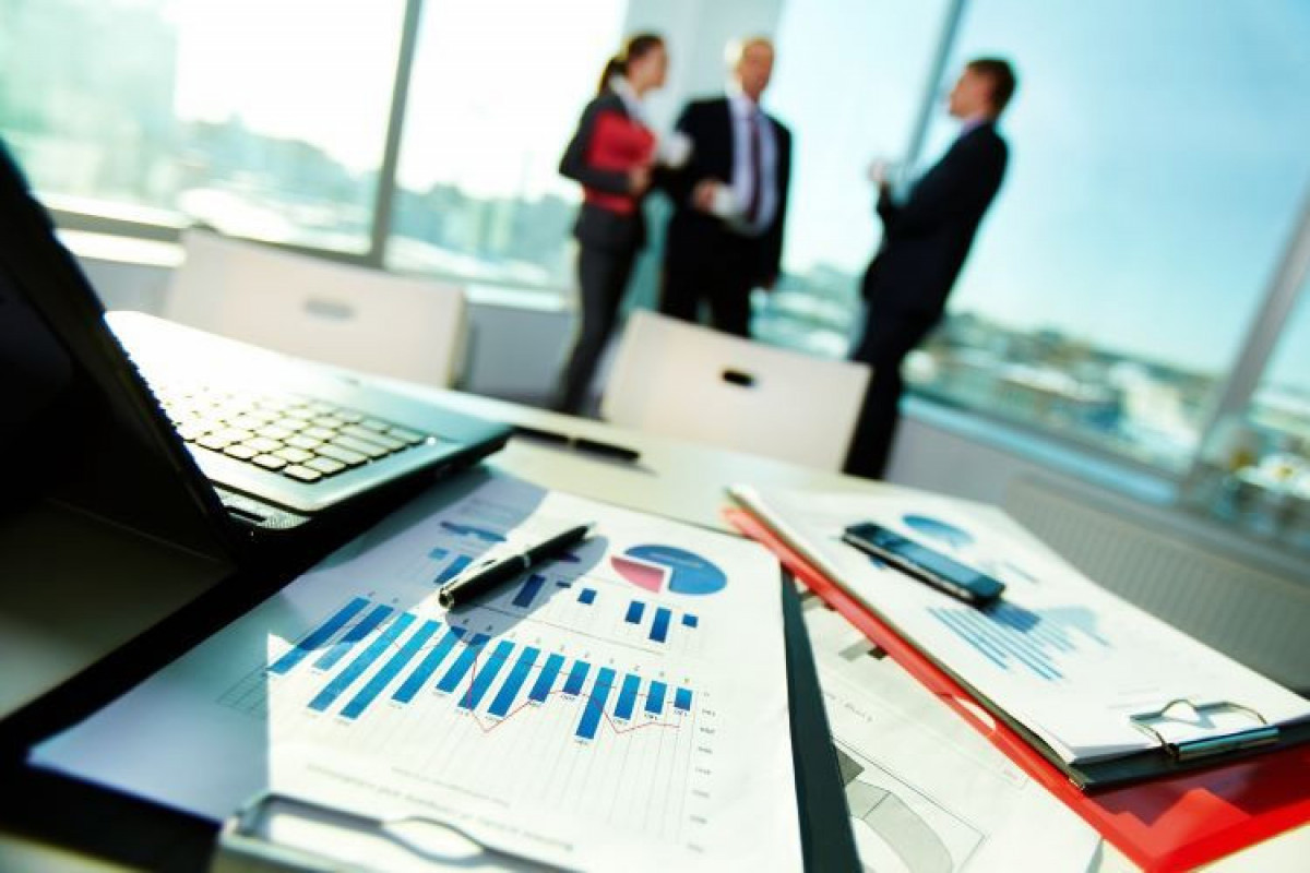 Məsafədən auditin tətbiqi üçün işlərə başlanılır