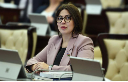 Deputat: Türk dövlətləri təhdidləri yalnız birgə aradan qaldıra bilər