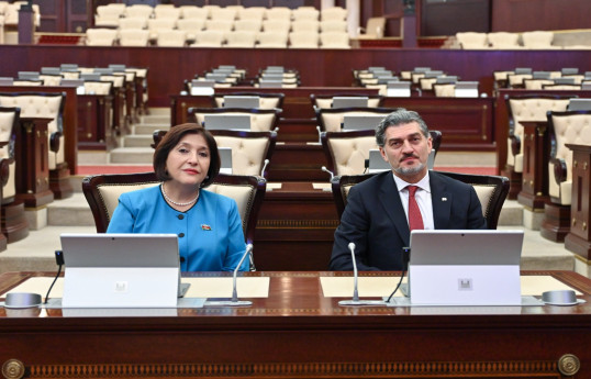 Sahibə Qafarova Gürcüstan Prezidenti ilə görüşüb