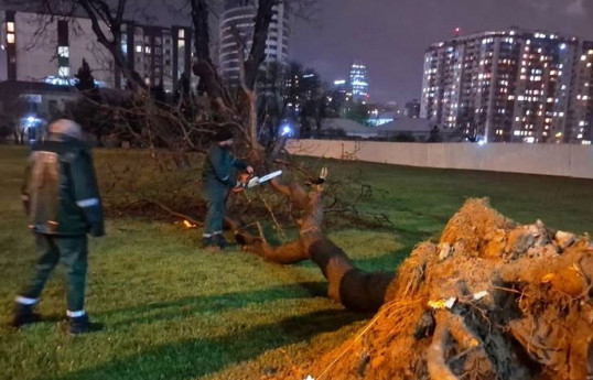 Bakıda güclü külək nəticəsində 368 ağac sınıb, 55-i zədələnib