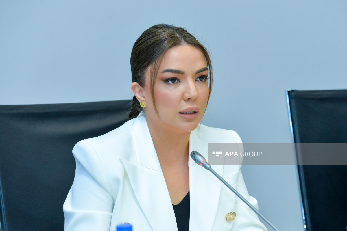 QHT-lərə Dövlət Dəstəyi Agentliyinin icraçı direktoru Aygün Əliyeva