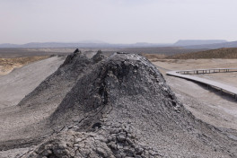 “AzerGold” Beynəlxalq Yer Gününə həsr olunmuş tədbirlər keçirib - FOTO 