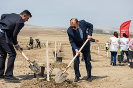 “AzerGold” Beynəlxalq Yer Gününə həsr olunmuş tədbirlər keçirib - FOTO 