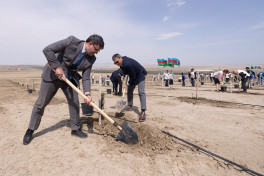 “AzerGold” Beynəlxalq Yer Gününə həsr olunmuş tədbirlər keçirib - FOTO 