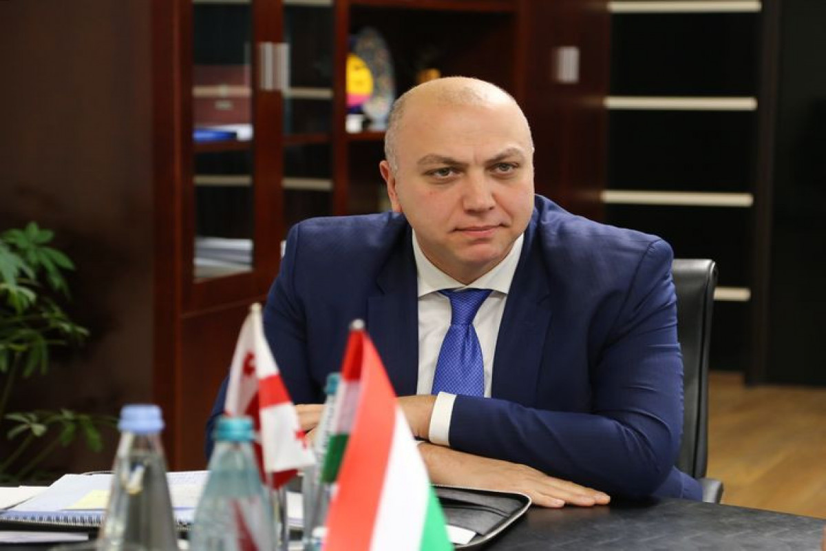 Gürcüstanın regional inkişaf və infrastruktur naziri istefa edib