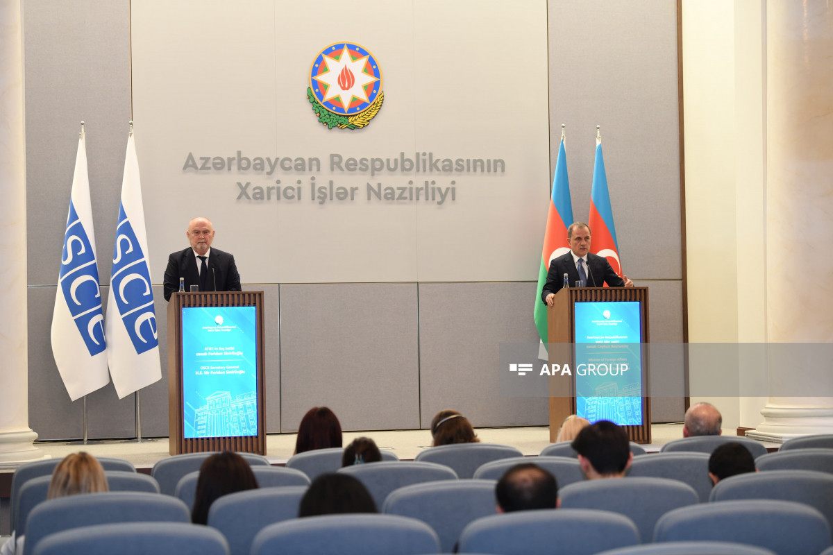 Feridun Sinirlioğlu: ATƏT Azərbaycanda minaların təmizləməsinə töhfə verməyə hazırdır