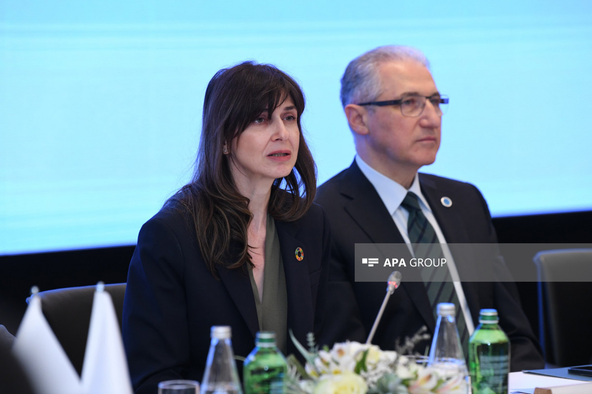 Vladanka Andreeva: BMT Azərbaycanın 2030-cu il üçün dayanıqlı inkişaf məqsədlərinə dəstək verəcək