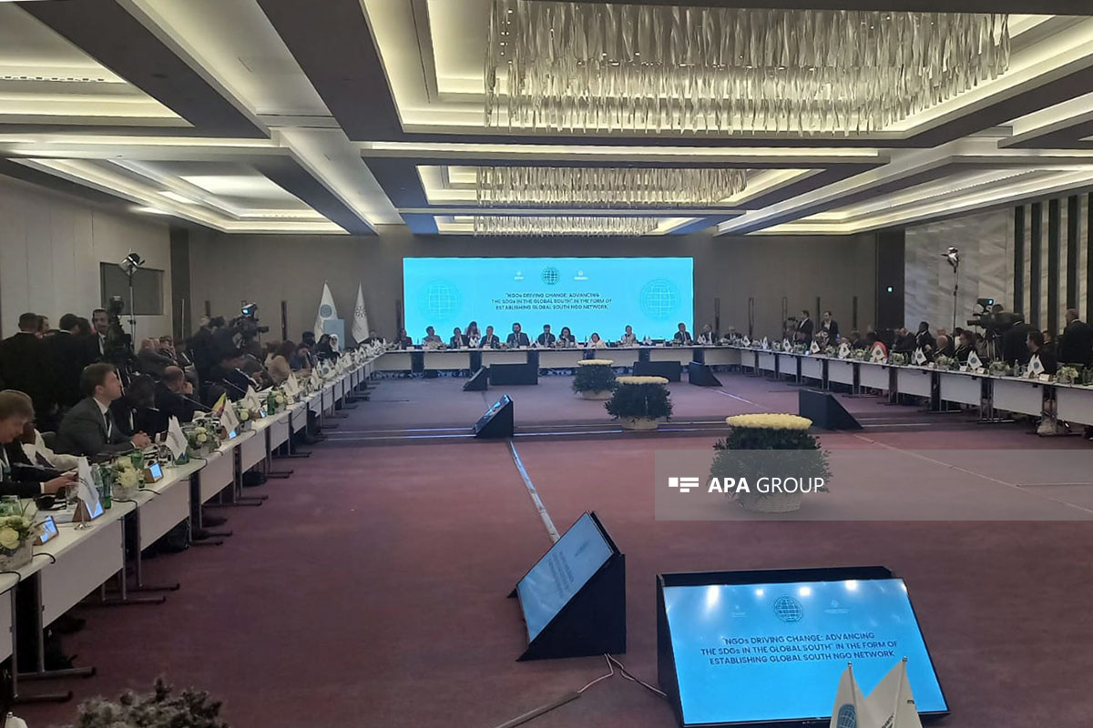 Qlobal Cənub QHT Platformasının təsisi forumu çərçivəsində panel təşkil edilib
