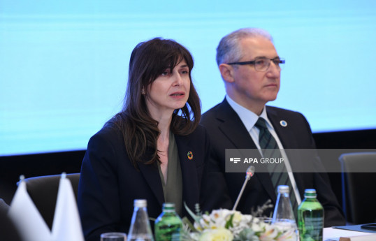 Vladanka Andreeva: Qlobal məqsədlərə çatmaq üçün vətəndaş cəmiyyəti ilə birlikdə fəaliyyət göstəməkdə maraqlıyıq
