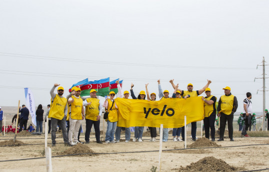 Yelo Bank ölkəmizin yaşıllaşdırılmasına töhvə verib
