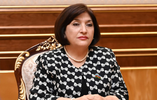 Sahibə Qafarova, Milli Məclisin sədri