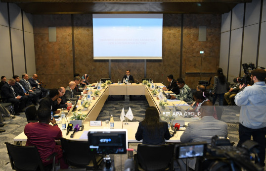Qlobal Cənub QHT Platformasının Təsis Forumunda növbəti panel keçirilib - FOTO 