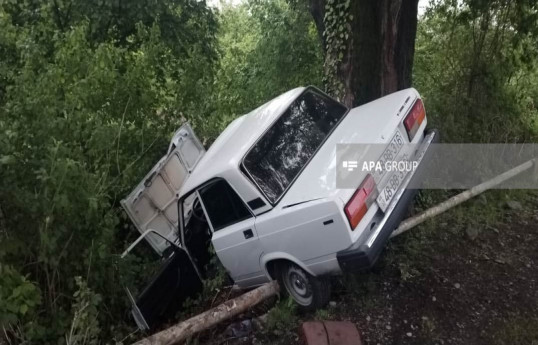 Oğuzda maşının ağaca çırpılması nəticəsində iki nəfər xəsarət alıb - FOTO 