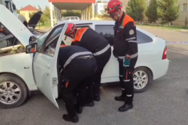 FHN-in Aran Regional Mərkəzi təlim keçirib