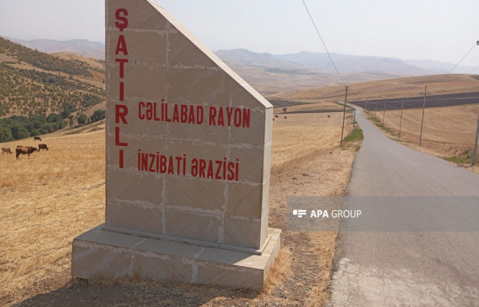 Cəlilabadda çaqqal kənd sakinlərinə hücum edib - YENİLƏNİB  - FOTO 