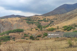 Laçında qardaş qardaşı ov tüfəngi ilə qətlə yetirib