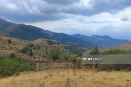 Laçında qardaş qardaşı ov tüfəngi ilə qətlə yetirib