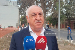 Gəncədə qurumuş və qəza yarada biləcək 500-dən çox ağacın inventarlaşdırılmasına başlanıb - FOTO 
