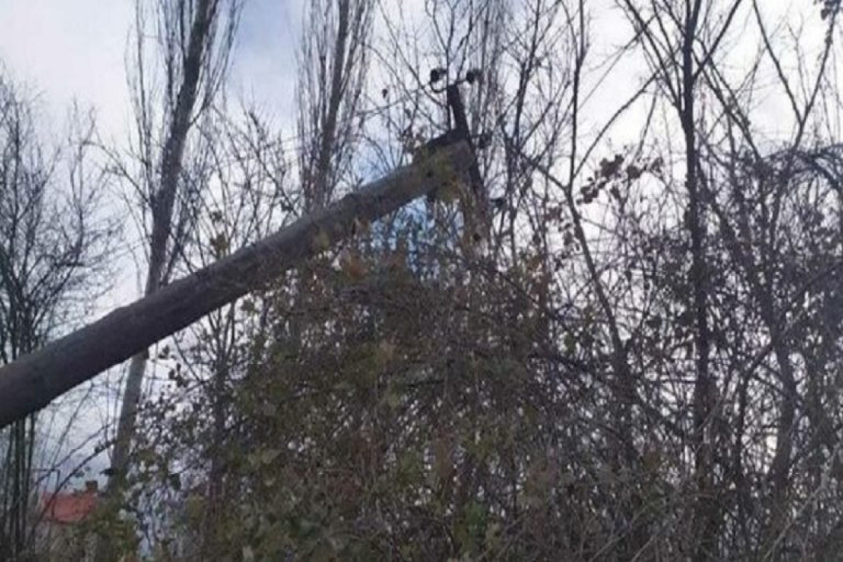 Cəlilabadda elektrik dirəkləri yanaraq aşıb, 10-a yaxın mal-qaranı cərəyan vuraraq öldürüb