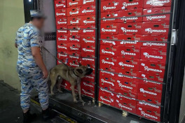 “Astara” gömrük postunda 30 kiloqramdan artıq marixuana aşkarlanıb