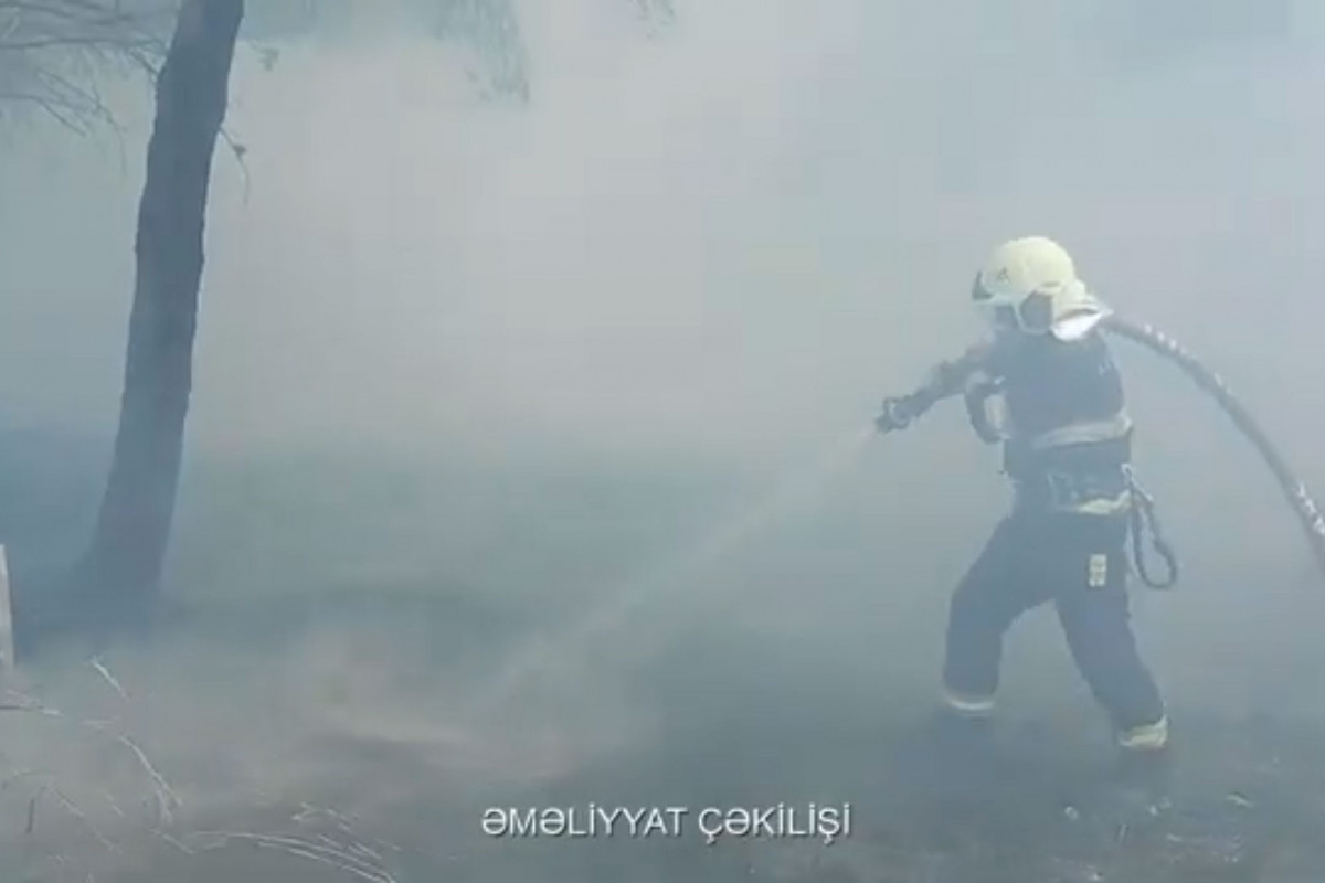 Abşeronda açıq sahədə yanğın baş verib - VİDEO 
