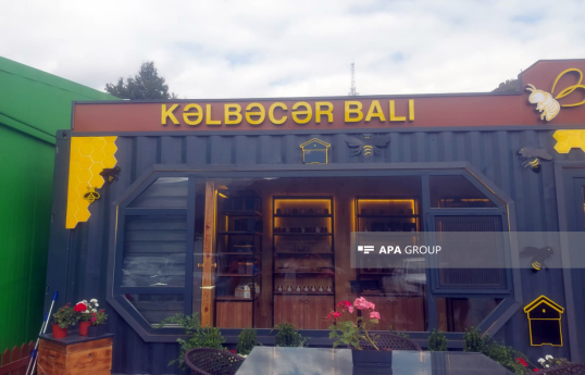 Kəlbəcər balının beynəlxalq bazara çıxarılması planlaşdırılır - FOTO 