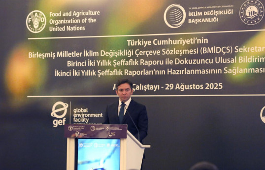 Yalçın Rəfiyev Ankaraya səfər edib