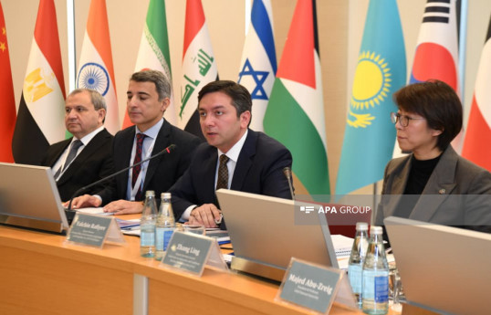Azərbaycan xarici işlər nazirinin müavini Yalçın Rəfiyev