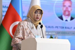 Qərbi Azərbaycanla bağlı III beynəlxalq konfrans keçirilib - FOTO 