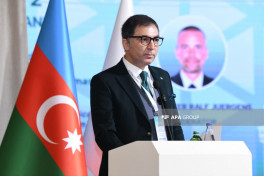 Qərbi Azərbaycanla bağlı III beynəlxalq konfrans keçirilib - FOTO 