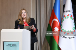 Qərbi Azərbaycanla bağlı III beynəlxalq konfrans keçirilib - FOTO 