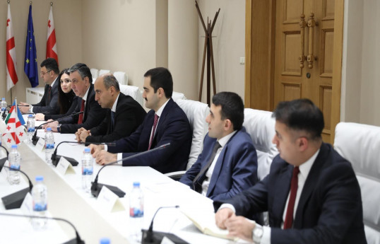 Emin Əmrullayev Gürcüstanda görüşlər keçirib