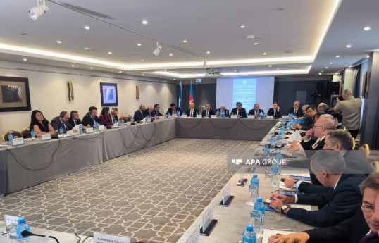 “Konstitusiya və Suverenlik İli”nə həsr olunmuş beynəlxalq konfrans keçirilib - FOTO 