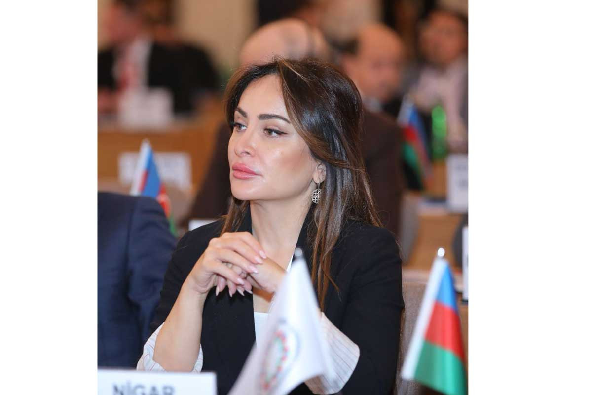 Nigar Məmmədova, Milli Məclisin deputatı