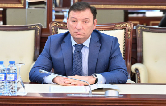 Adil Vəliyev. Milli Məclisin Sosial qanunvericilik şöbəsinin müdiri