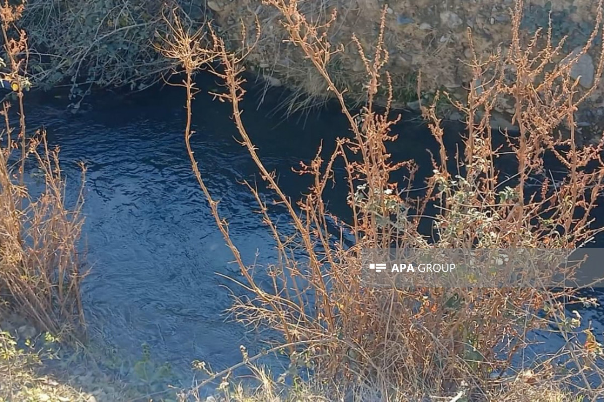 Gəncədə 86 yaşlı kişi su kanalında boğularaq ölüb - FOTO 