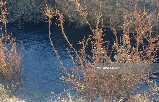 Gəncədə 86 yaşlı kişi su kanalında boğularaq ölüb - FOTO 